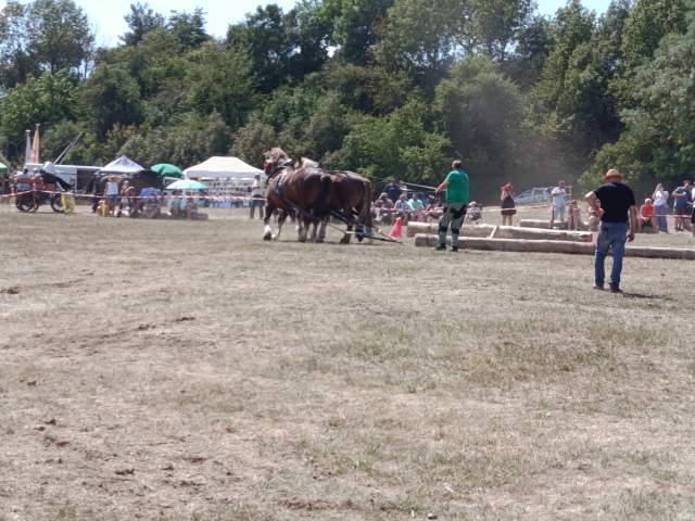 IMG_20260808_131703